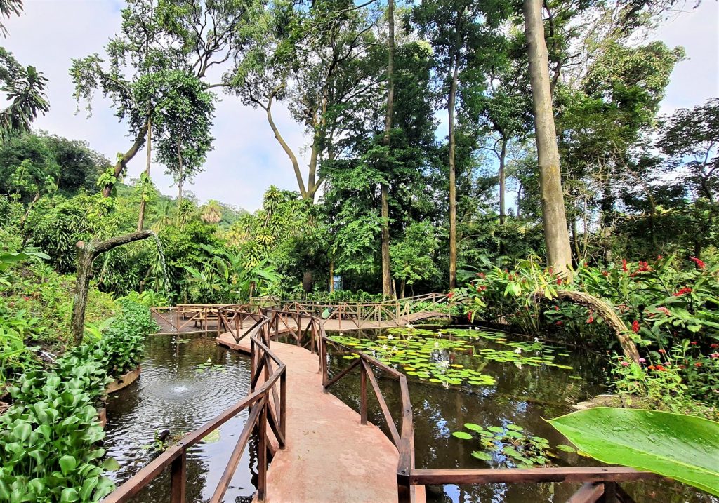 QR Plan de la Laguna